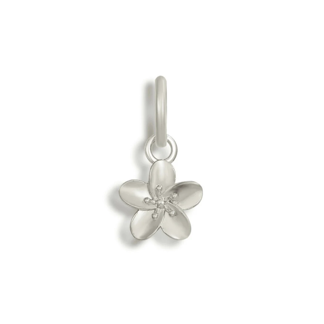 Charms - Image 60