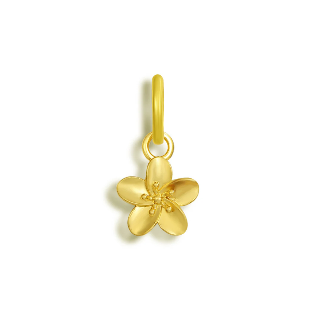 Charms - Image 61