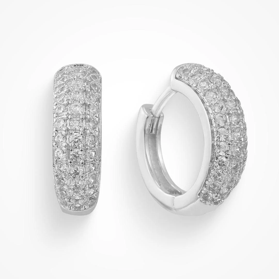 Dollar Bill Earrings - Image 3