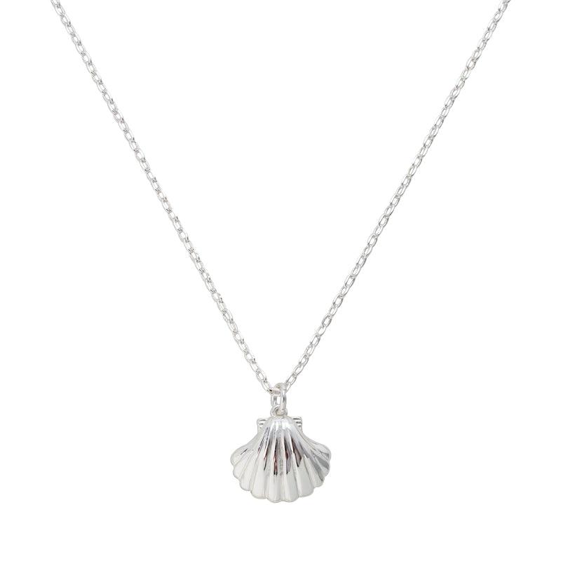 Seashell Necklace - Image 4
